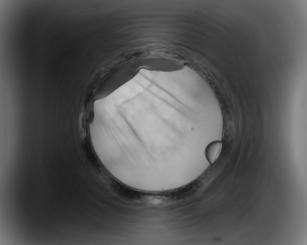 X0000087550654200705251741