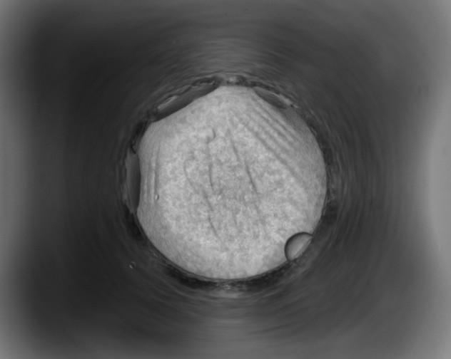 X0000087550656200705251741