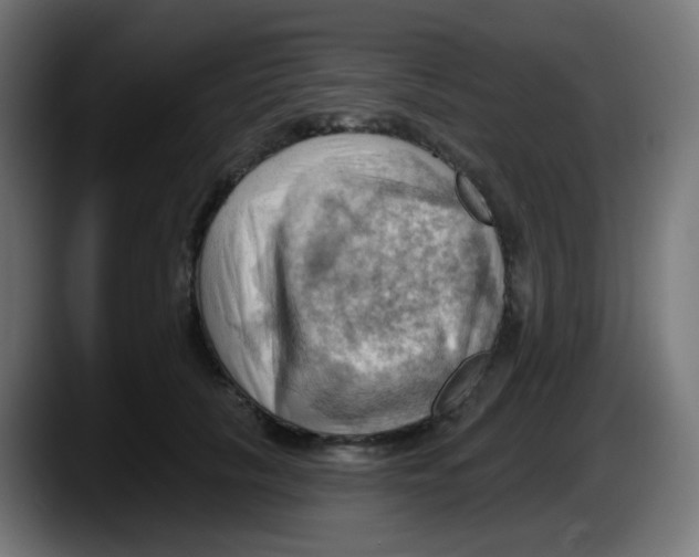 X0000087550657200705251741