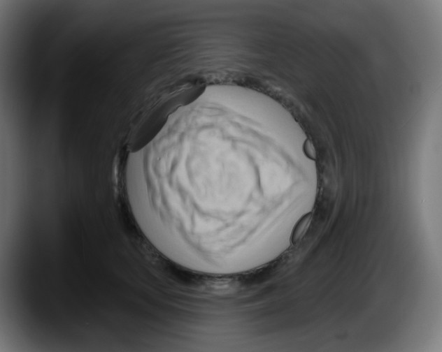 X0000087550659200705251741