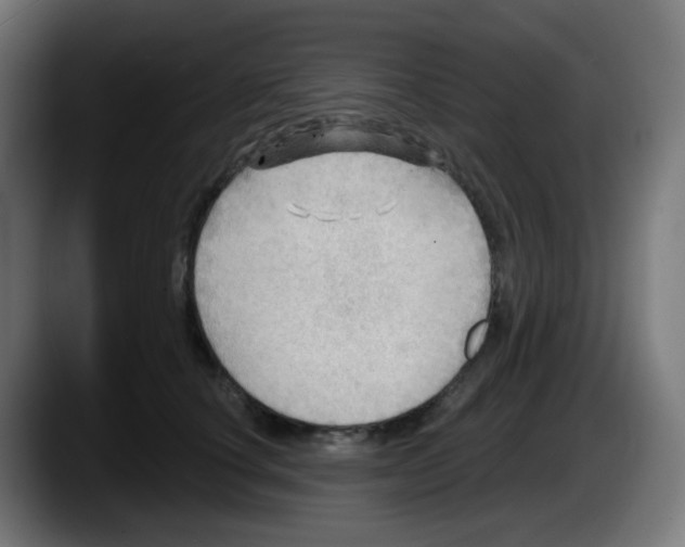 X0000087550660200705251741