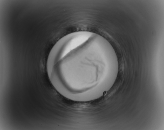 X0000087550661200705251741