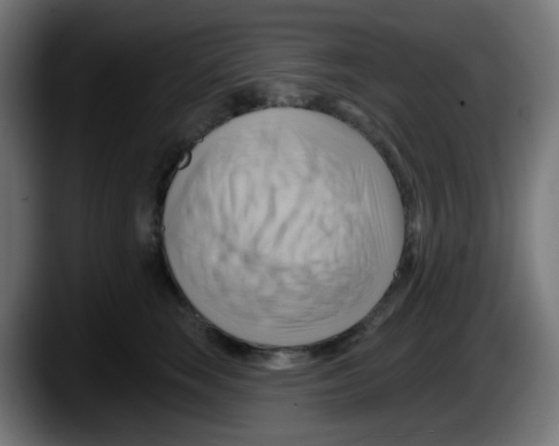 X0000087550663200705251741