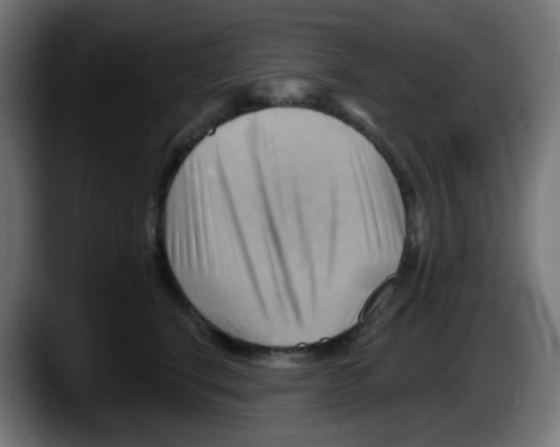 X0000087550664200705251741