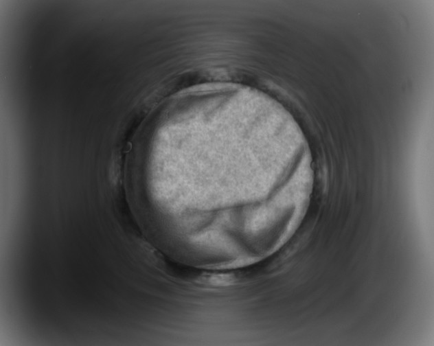 X0000087550665200705251741