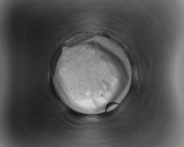 X0000087550668200705251741