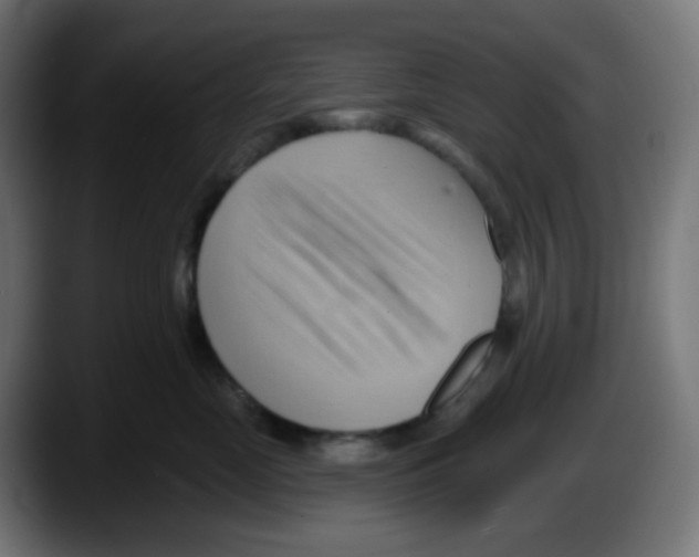 X0000087550669200705251741