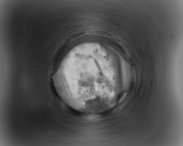 X0000087550670200705251741