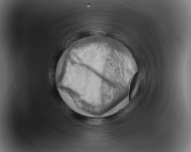 X0000087550671200705251741