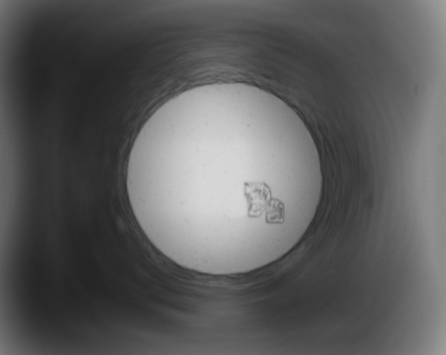 X0000087550672200705251741
