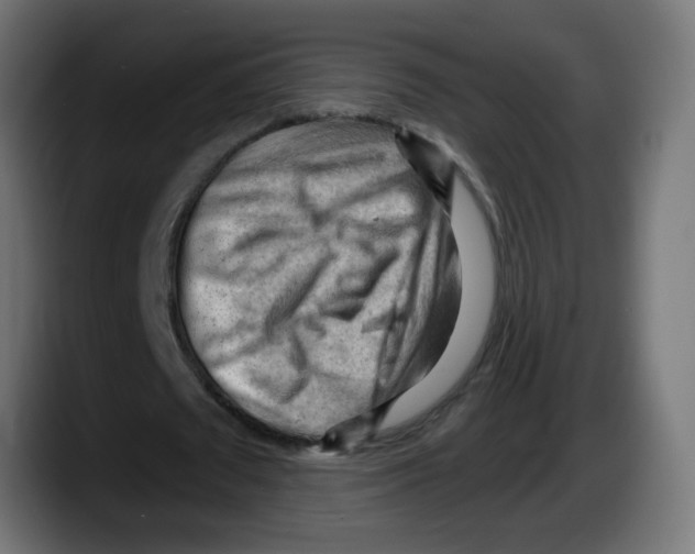 X0000087550673200705251741