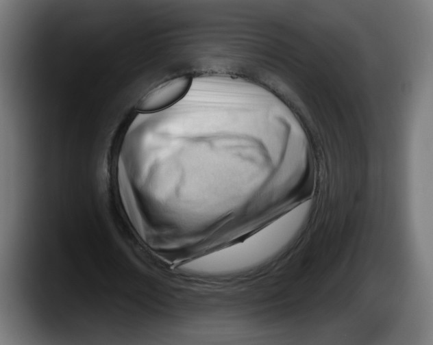 X0000087550674200705251741