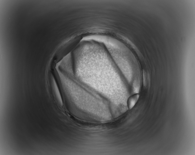 X0000087550675200705251741