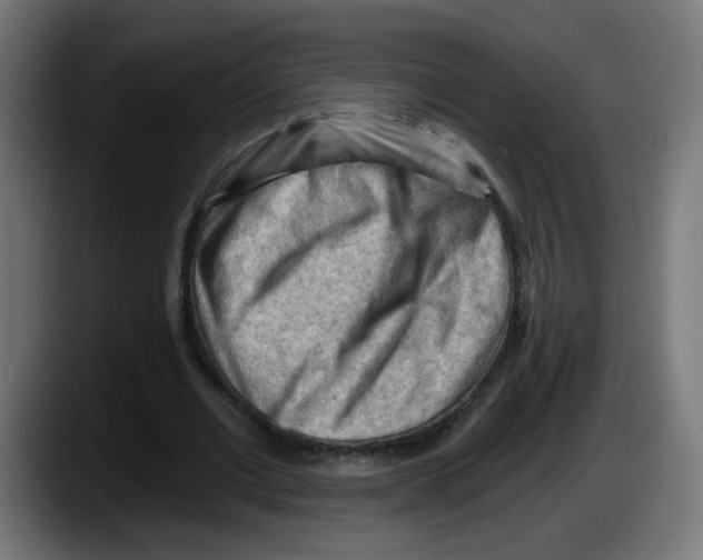 X0000087550677200705251741