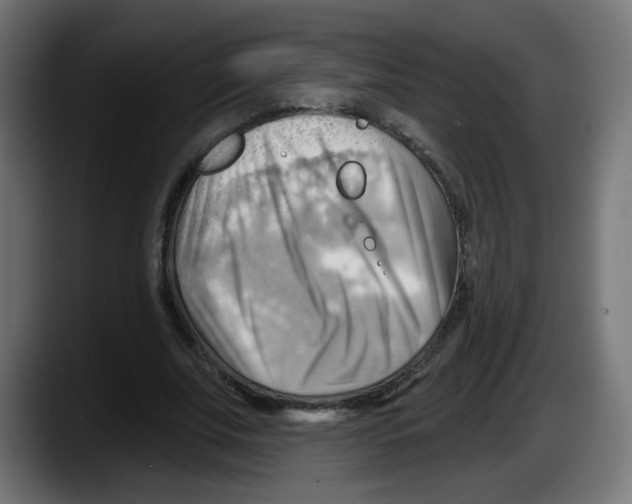 X0000087550679200705251740