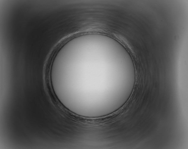X0000087550680200705251740