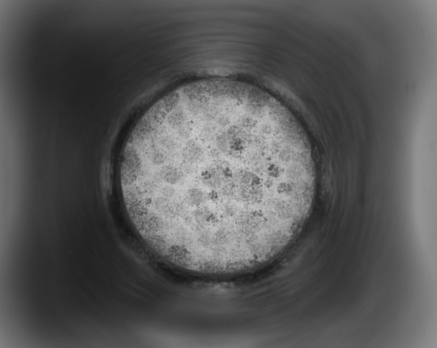 X0000087550683200705251740