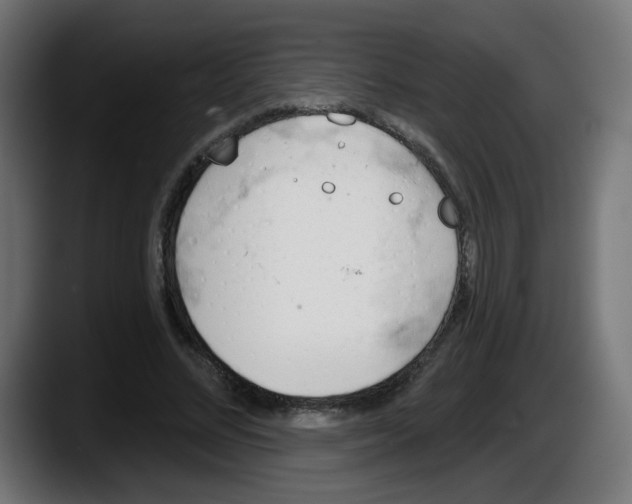 X0000087550684200705251740