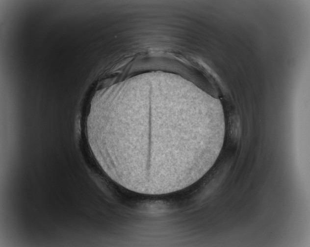 X0000087550685200705251740