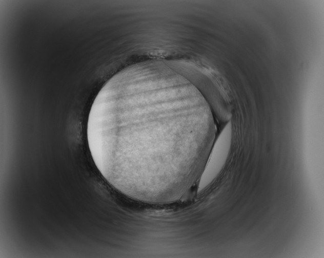 X0000087550689200705251740