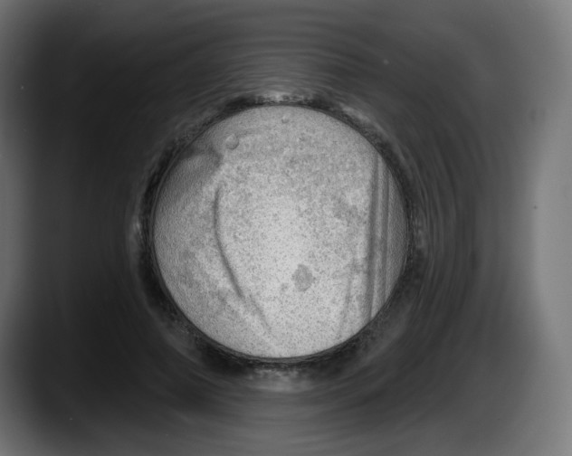 X0000087550690200705251740