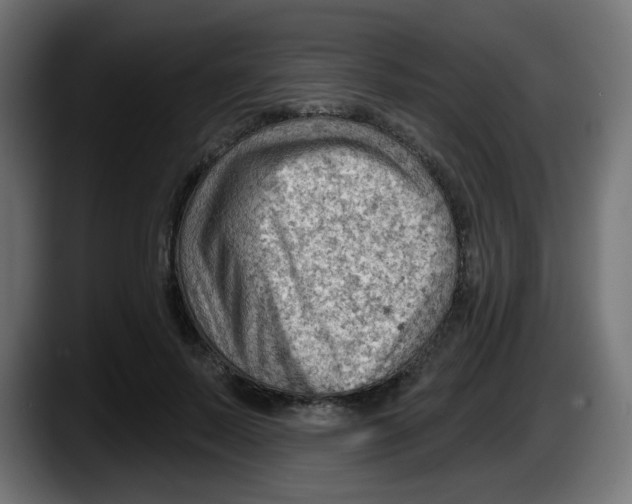 X0000087550695200705251740