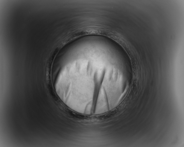 X0000087550696200705251740
