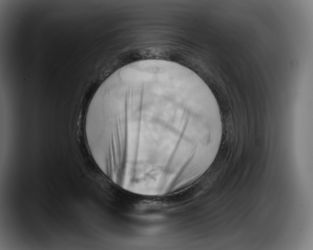 X0000087550699200705251740
