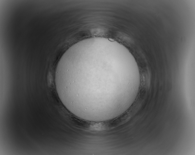 X0000087550705200705251740