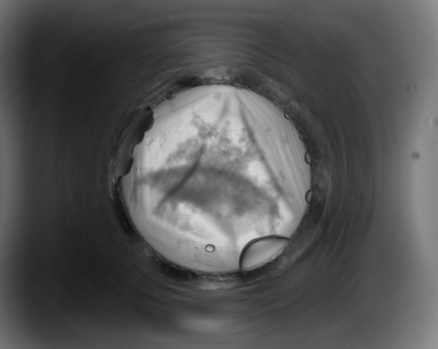 X0000087550707200705251740