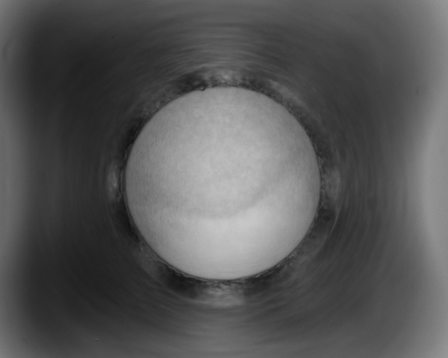 X0000087550709200705251740