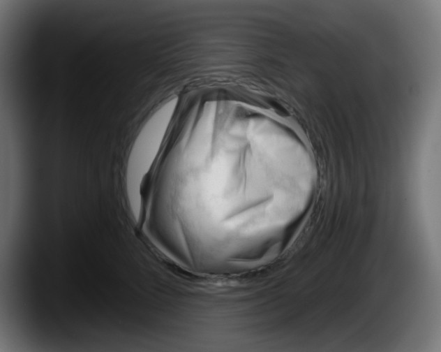 X0000087550712200705251740