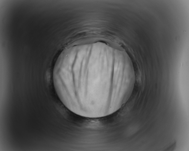 X0000087550715200705251740
