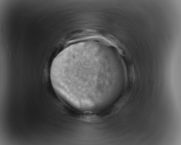 X0000087550716200705251740
