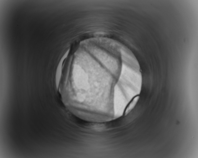 X0000087550719200705251740