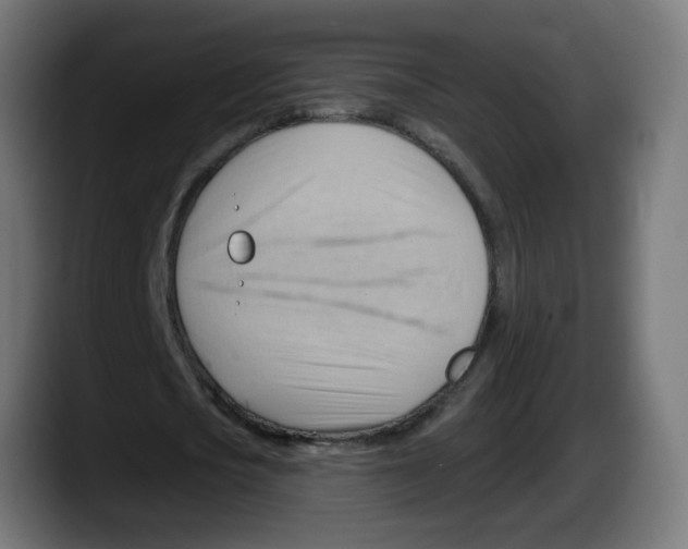 X0000087550721200705251739