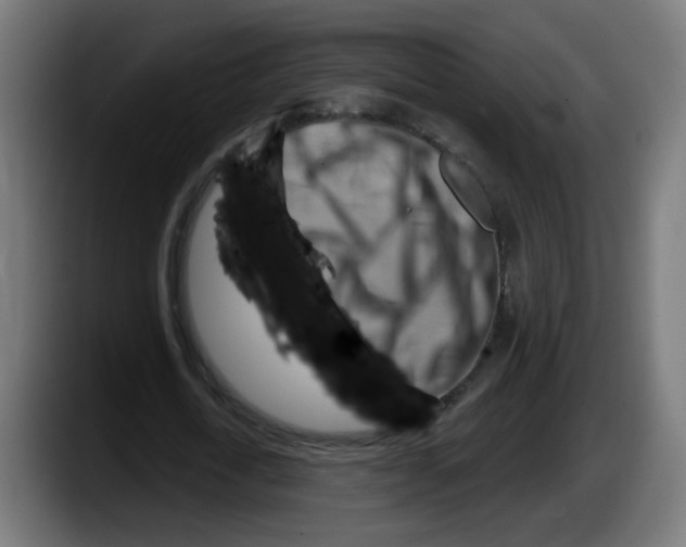 X0000087550722200705251739