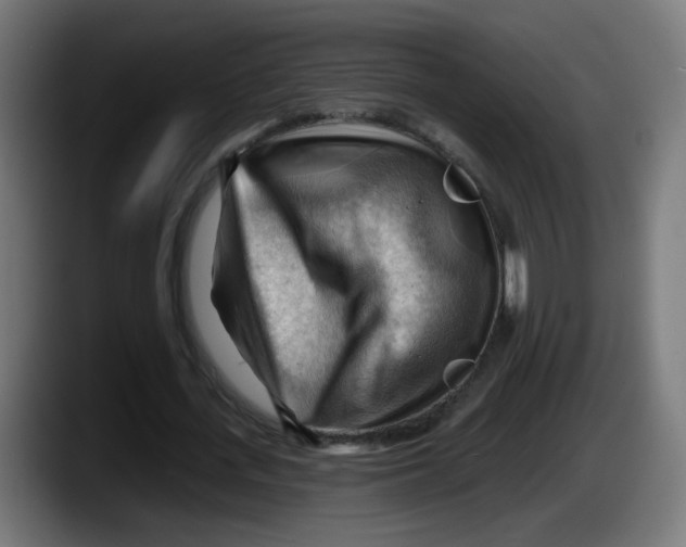 X0000087550723200705251739