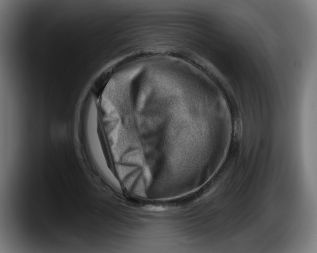 X0000087550724200705251739