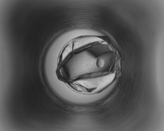 X0000087550725200705251739