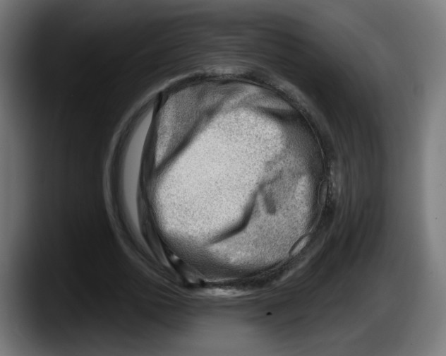 X0000087550726200705251739