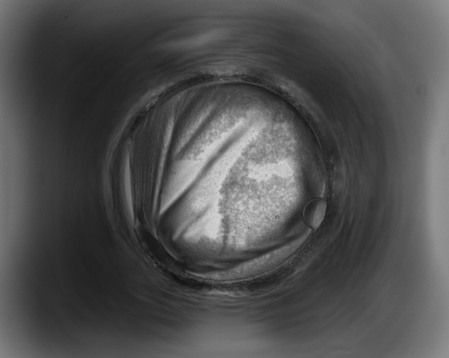 X0000087550727200705251739