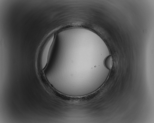 X0000087550728200705251739