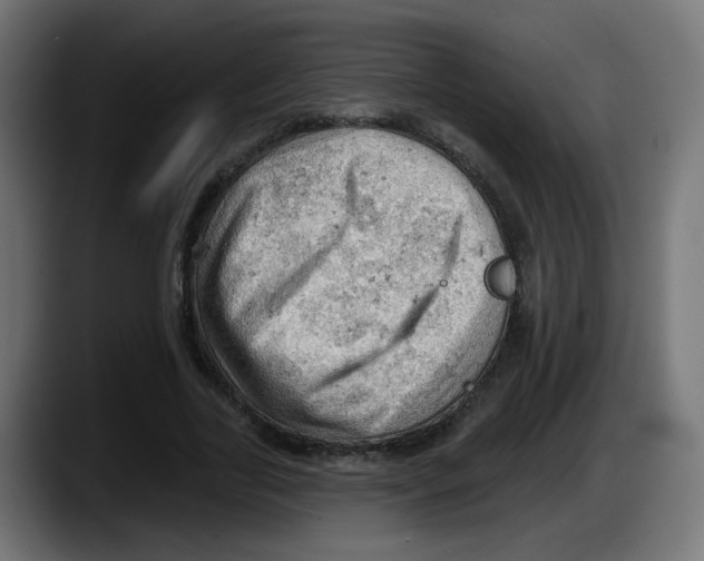 X0000087550731200705251739