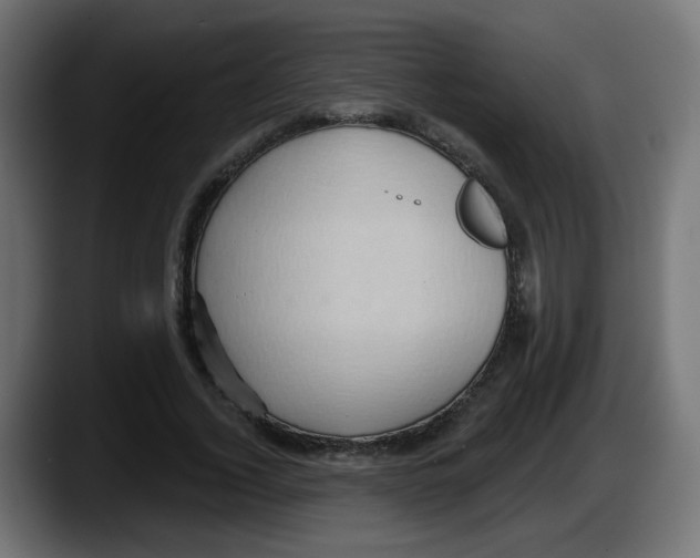 X0000087550732200705251739