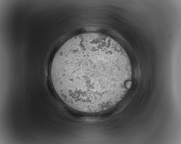 X0000087550733200705251739