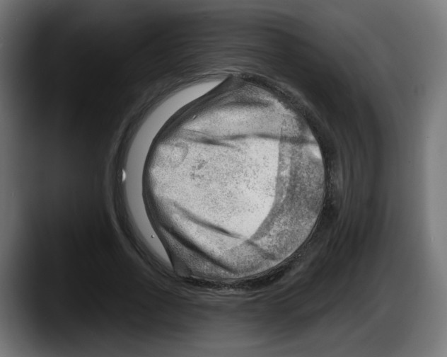X0000087550734200705251739