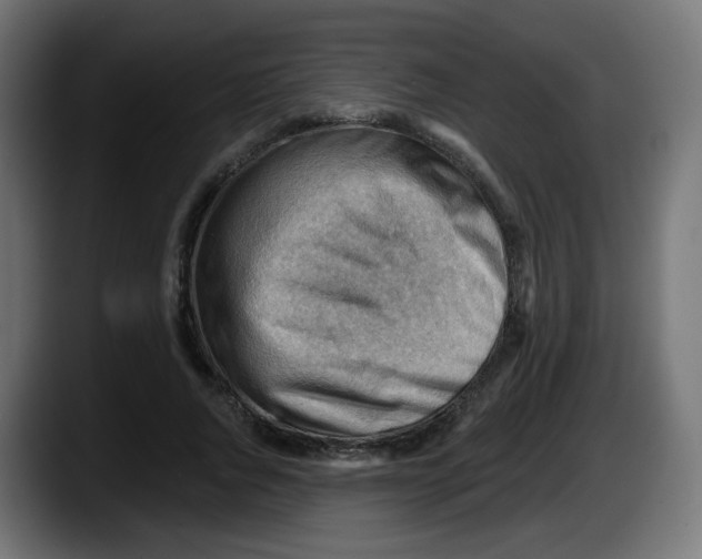 X0000087550736200705251740