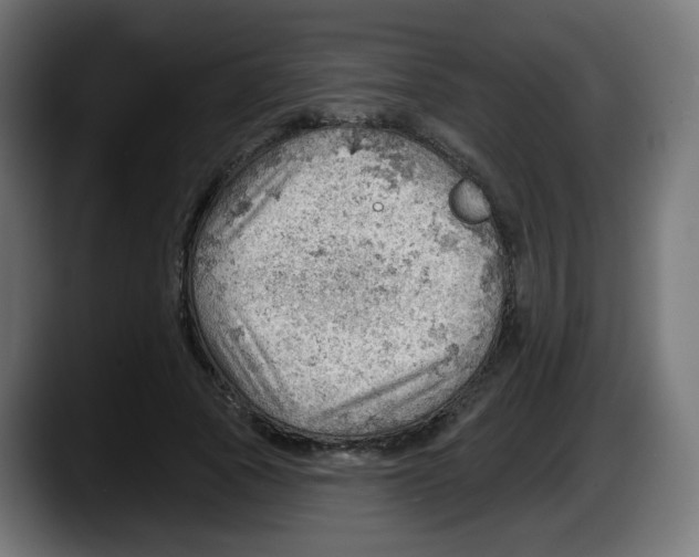 X0000087550737200705251740