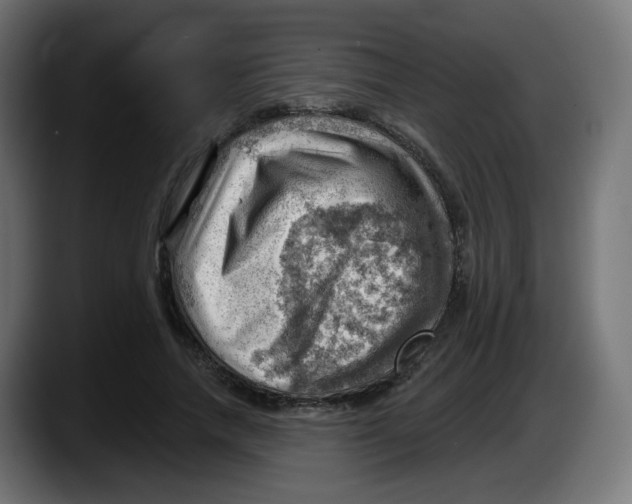 X0000087550738200705251740